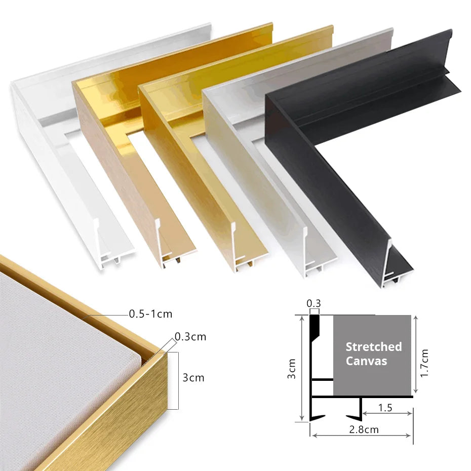 Canvas Frame DIY Kit with Metal Floating Frame