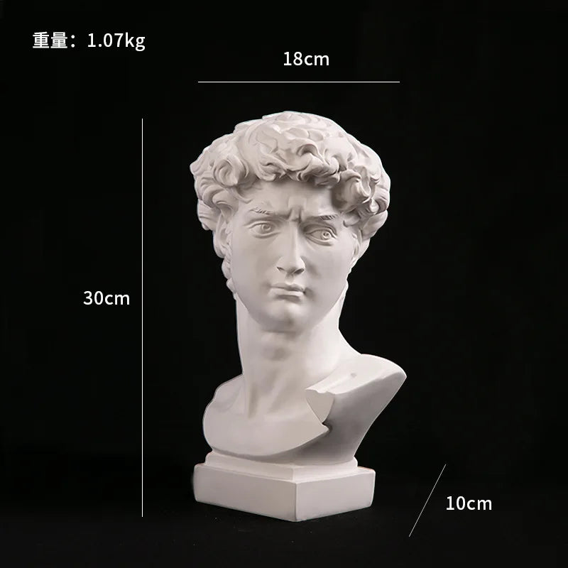 Head Statue of David Art Sculpture