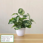 1-Piece Potted Bonsai Artificial Plants with Pots - Sleek Surprises