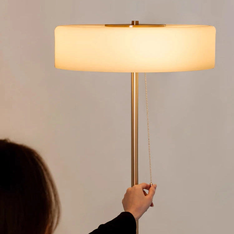 French Modern Ambient LED Floor Lamp